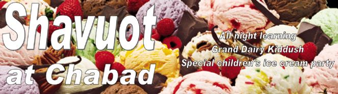 web banner.jpg